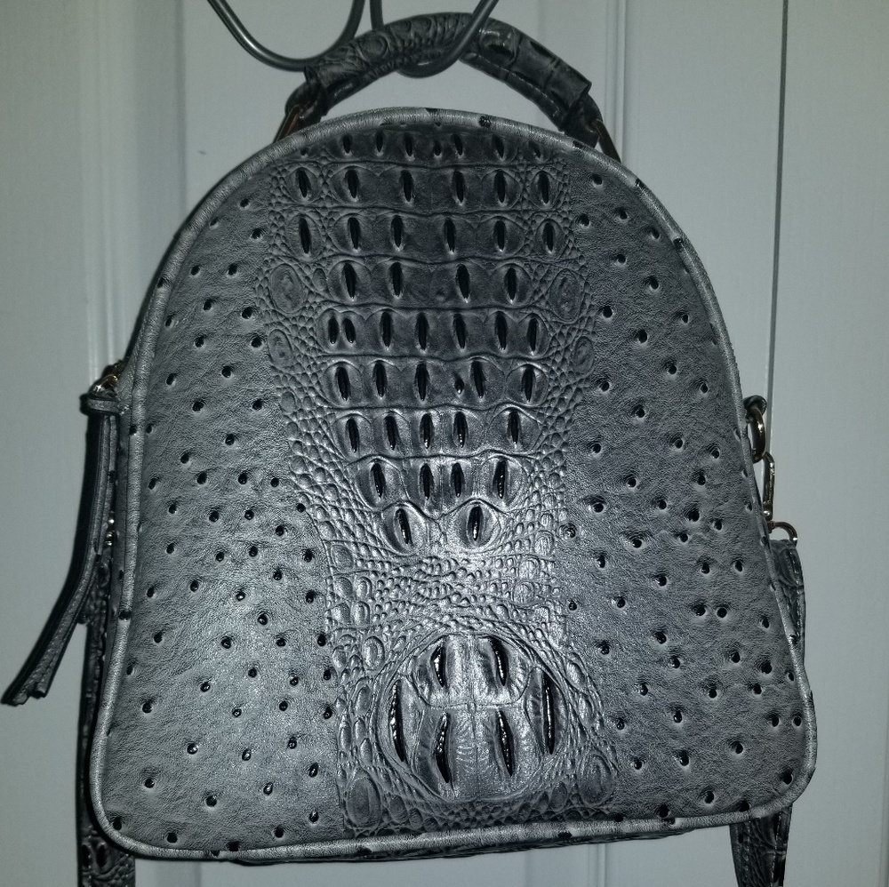 Backpack purse